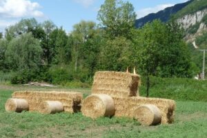 Comice agricole du 28 juillet 2019 à Nances