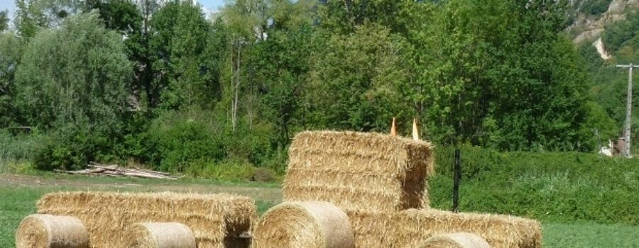 Comice agricole du 28 juillet 2019 à Nances