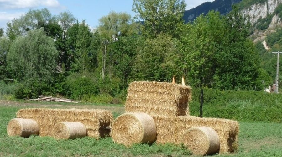 Comice agricole du 28 juillet 2019 à Nances