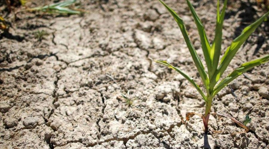 ALERTE SECHERESSE : l’avant pays Savoyard est concerné