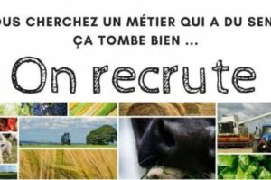 Le Service de Remplacement du Rhône au Guiers recrute!