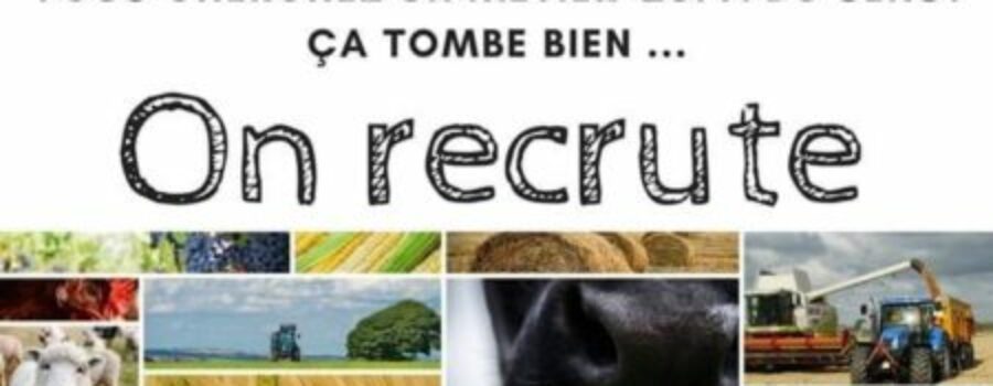 Le Service de Remplacement du Rhône au Guiers recrute!