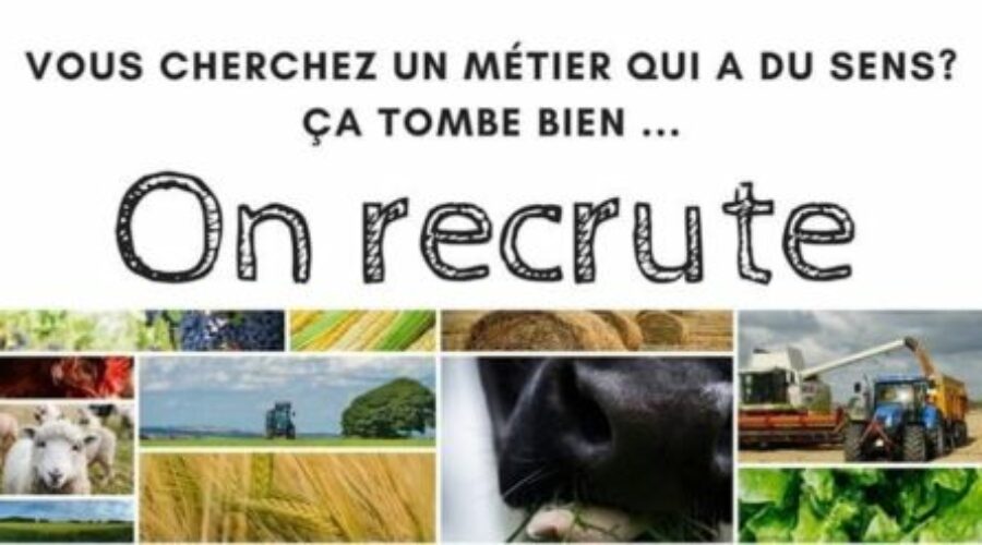 Le Service de Remplacement du Rhône au Guiers recrute!