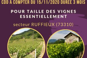 Le Service de Remplacement recrute un agent pour taille des vignes CDD 3 mois