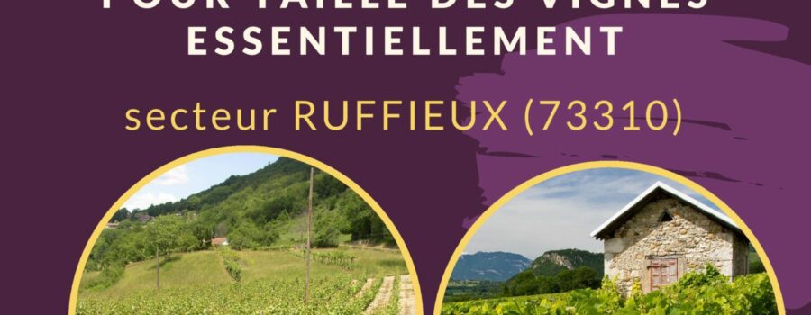 Le Service de Remplacement recrute un agent pour taille des vignes CDD 3 mois