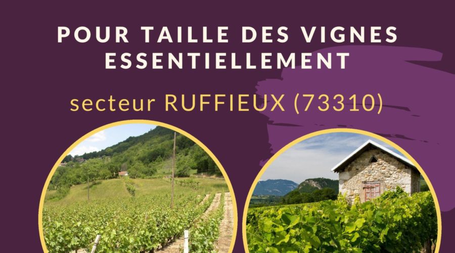 Le Service de Remplacement recrute un agent pour taille des vignes CDD 3 mois