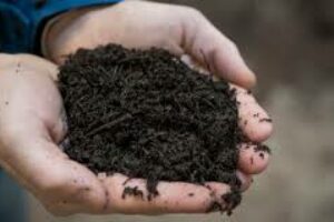 Broyage végétaux – compost à disposition des agriculteurs