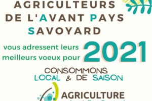 Meilleurs voeux à tous –> en route pour 2021