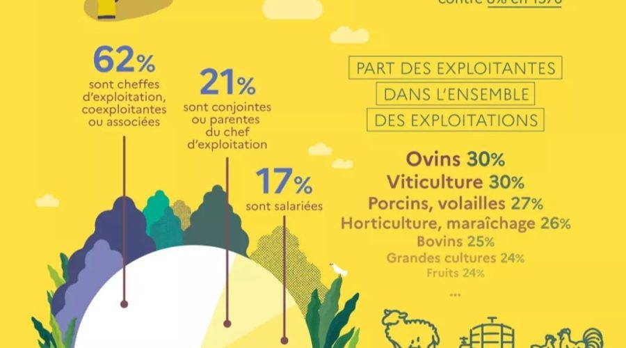 Le Saviez Vous? La place des femmes dans l’agriculture