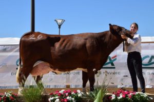 Retour en images sur le comice agricole de l’Avant-Pays !