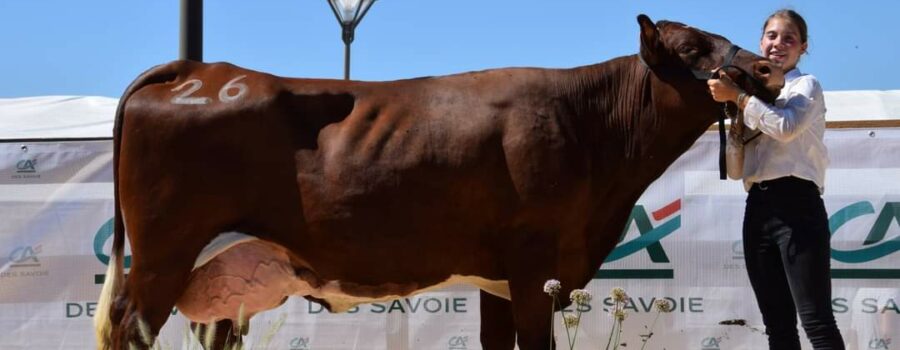 Retour en images sur le comice agricole de l’Avant-Pays !