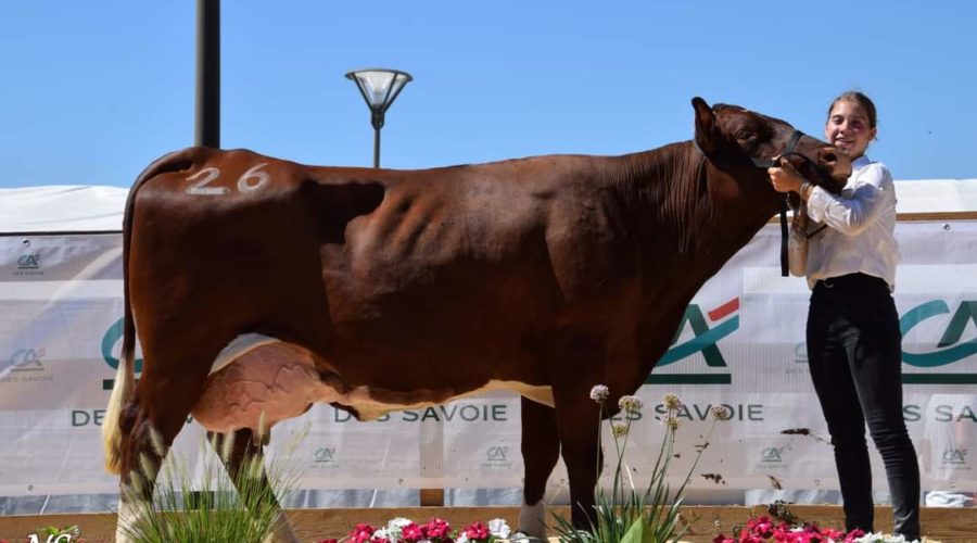 Retour en images sur le comice agricole de l’Avant-Pays !