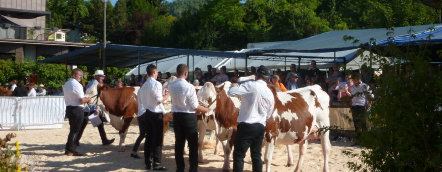 Les résultats du comice agricole sont publiés !