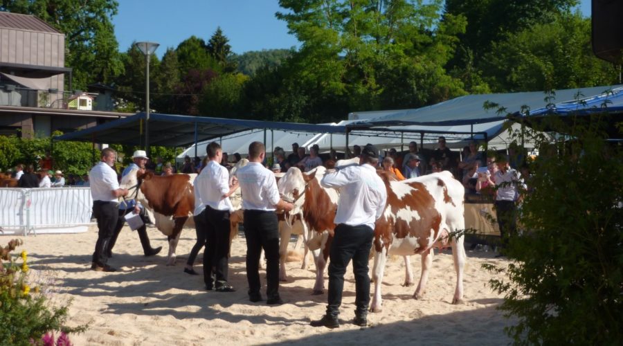 Les résultats du comice agricole sont publiés !