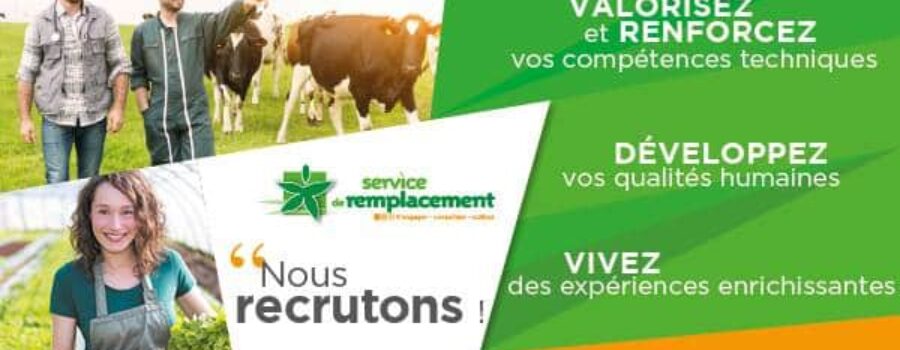 Offre d’emploi