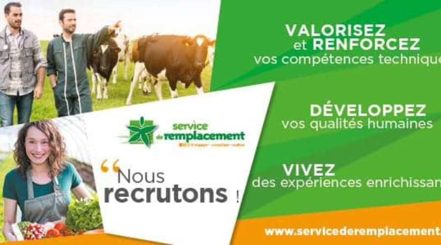 Offre d’emploi